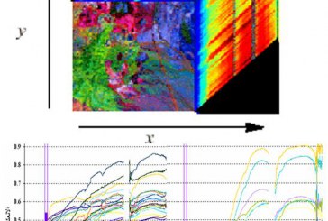 Spectral reflectance measurements of main rock units in northern east Homs
