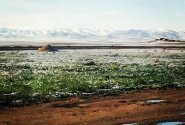 الدراسة البيئية لمحمية البطم الأطلسي في جبل أبو رجمين