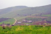 دراسة الغطاء النباتي في محافظة حمص وإعداد الخرائط النباتية فيها باستخدام تقنيات الاستشعار عن بعد ونظام المعلومات الجغرافي